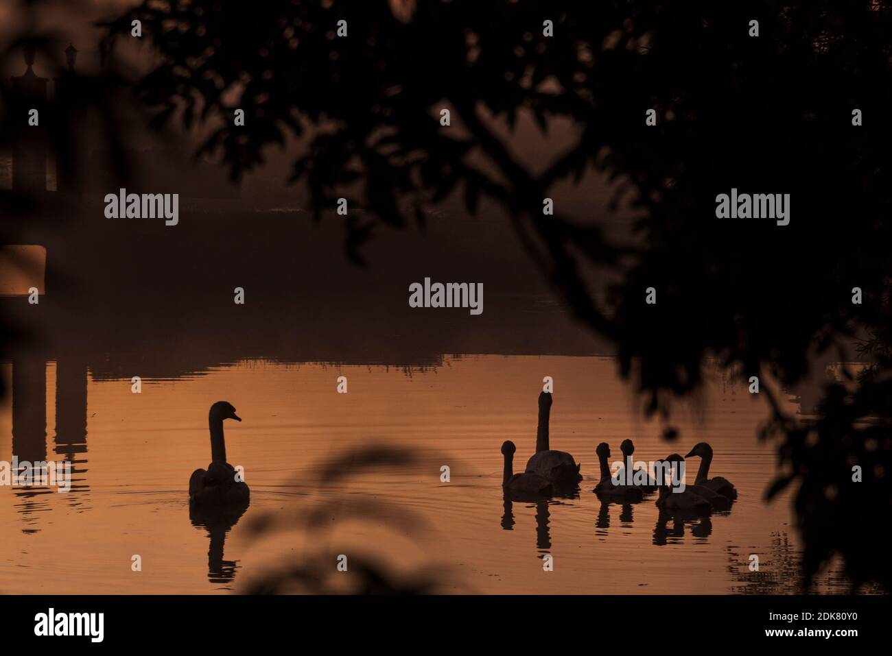 Ein Tag in Olanda: Sonnenaufgang im Polder, Citywalk a Dordrecht. Foto Stock