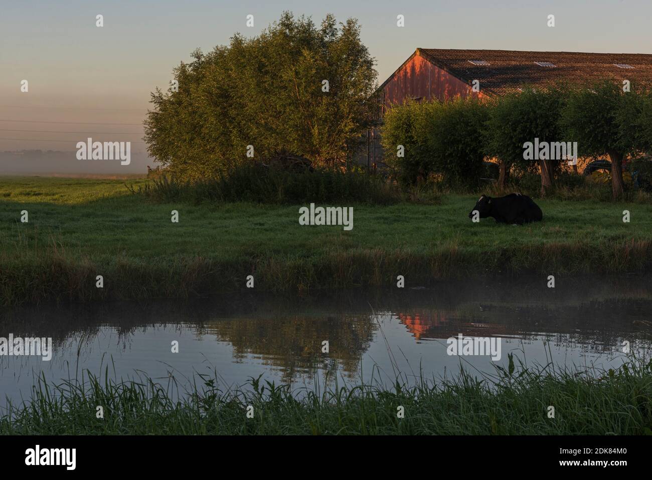 Ein Tag in Olanda: Sonnenaufgang im Polder, Citywalk a Dordrecht. Foto Stock