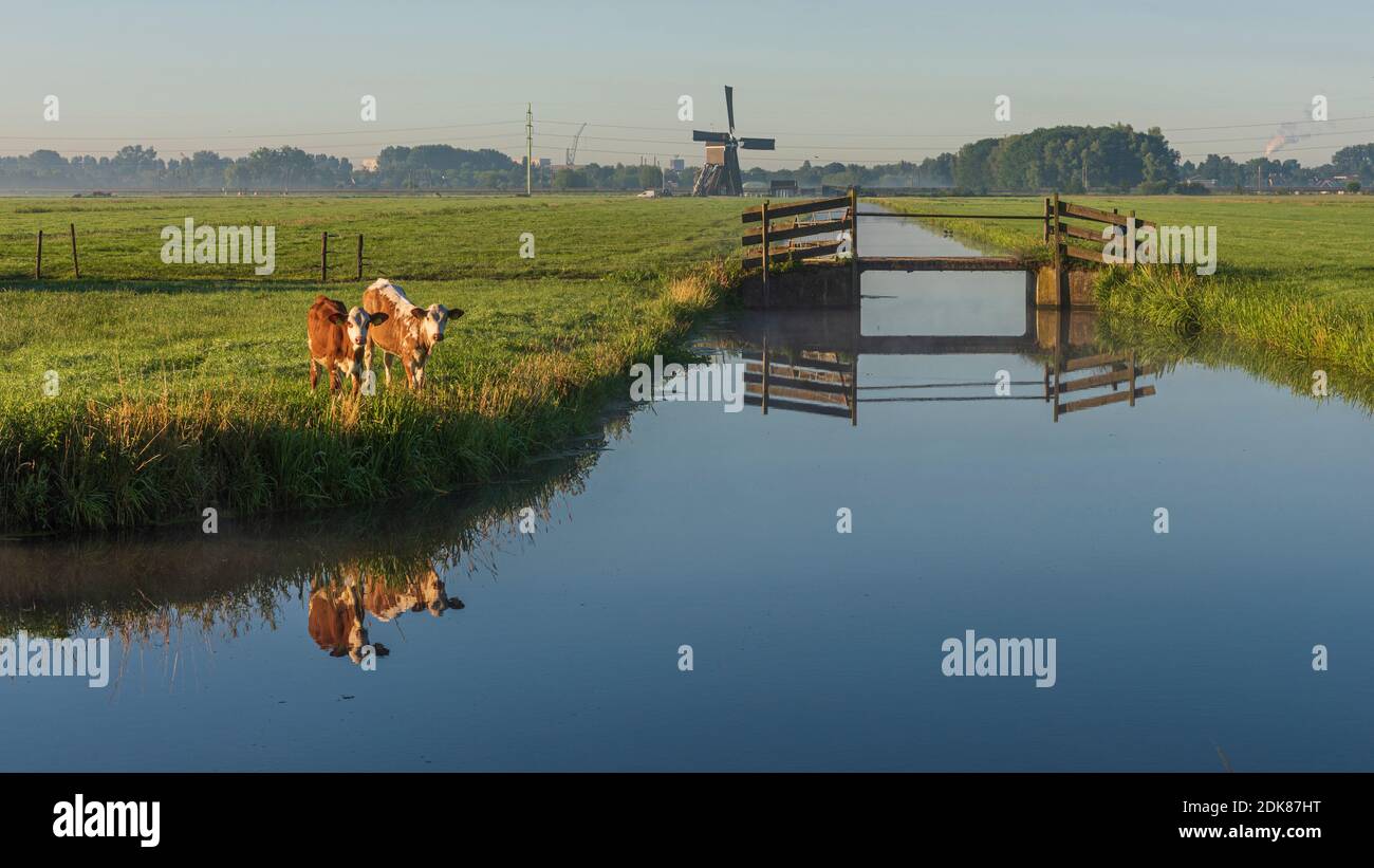 Ein Tag in Olanda: Sonnenaufgang im Polder, Citywalk a Dordrecht. Foto Stock