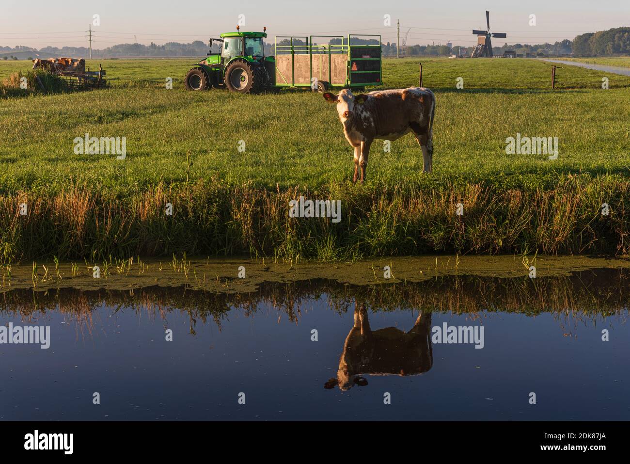 Ein Tag in Olanda: Sonnenaufgang im Polder, Citywalk a Dordrecht. Foto Stock