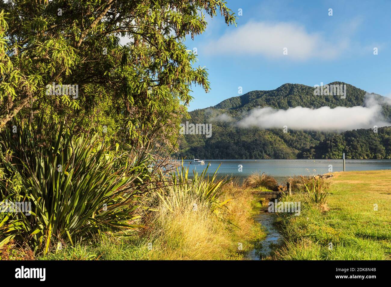 Ngakuta Bay, Marlborough Sounds, Picton, South Island, Nuova Zelanda Foto Stock