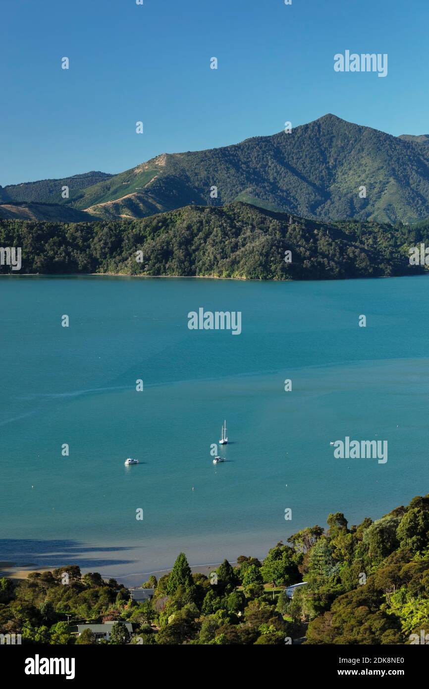 Paesaggio costiero a Kenepuru Sound, sul Queen Charlotte Track, Marlborough Sounds, Picton, South Island, Nuova Zelanda Foto Stock