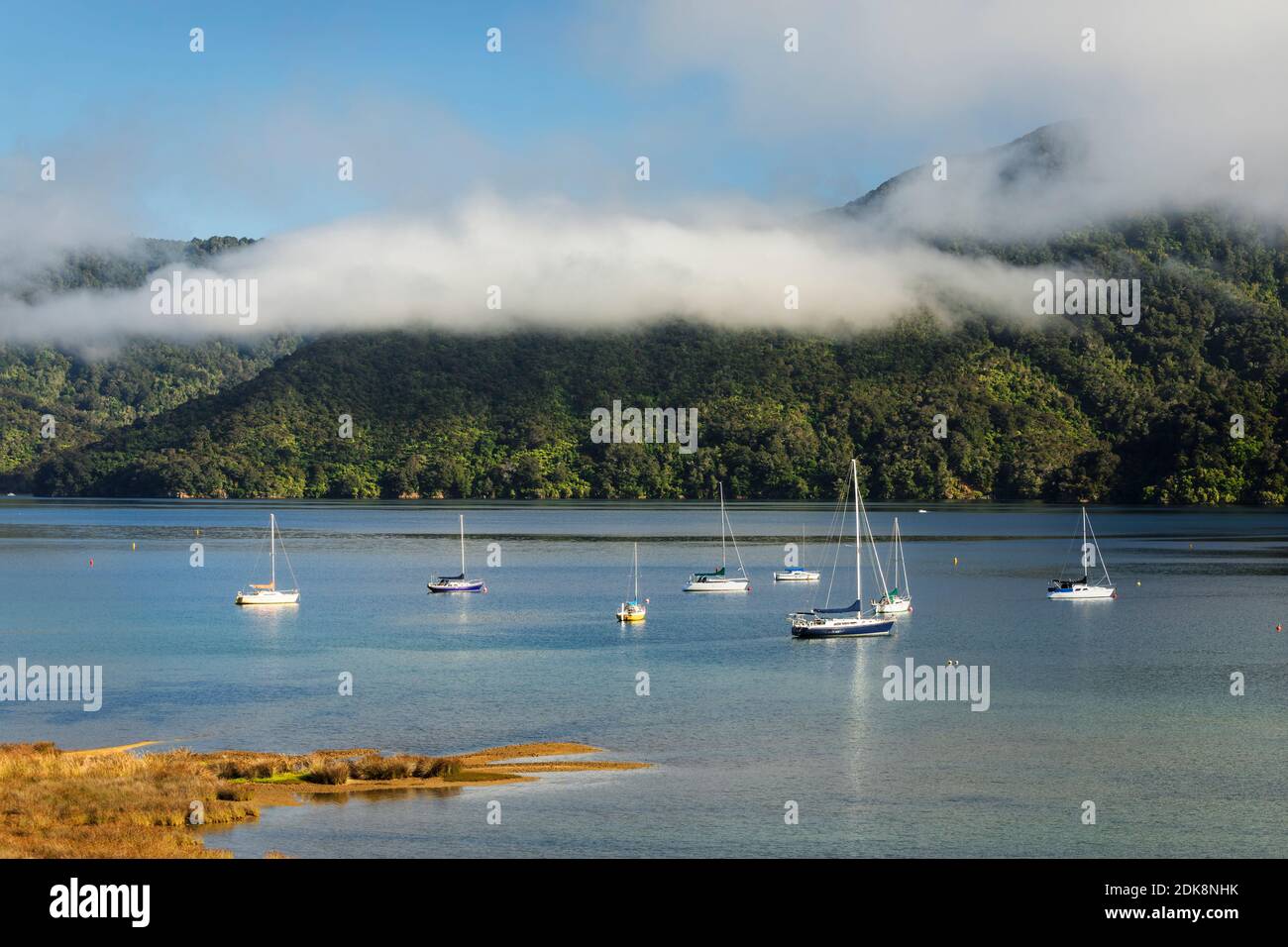 Barche a vela nella Baia di Ngakuta, Marlborough Sounds, Picton, Isola del Sud, Nuova Zelanda Foto Stock