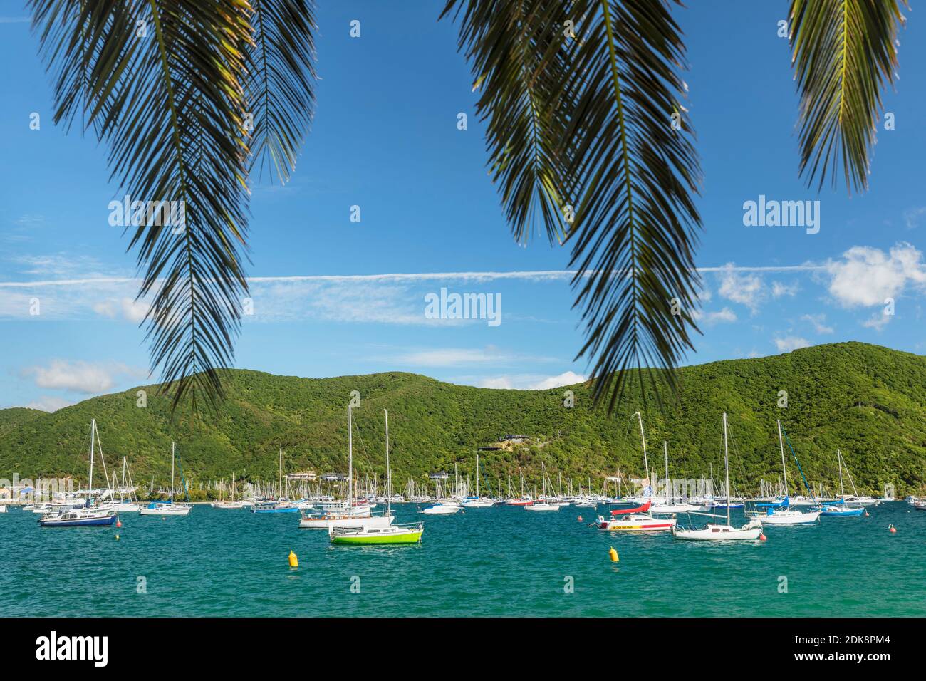 Marina a Waikawa, Picton, Marlborough Sounds, Isola del Sud, Nuova Zelanda Foto Stock