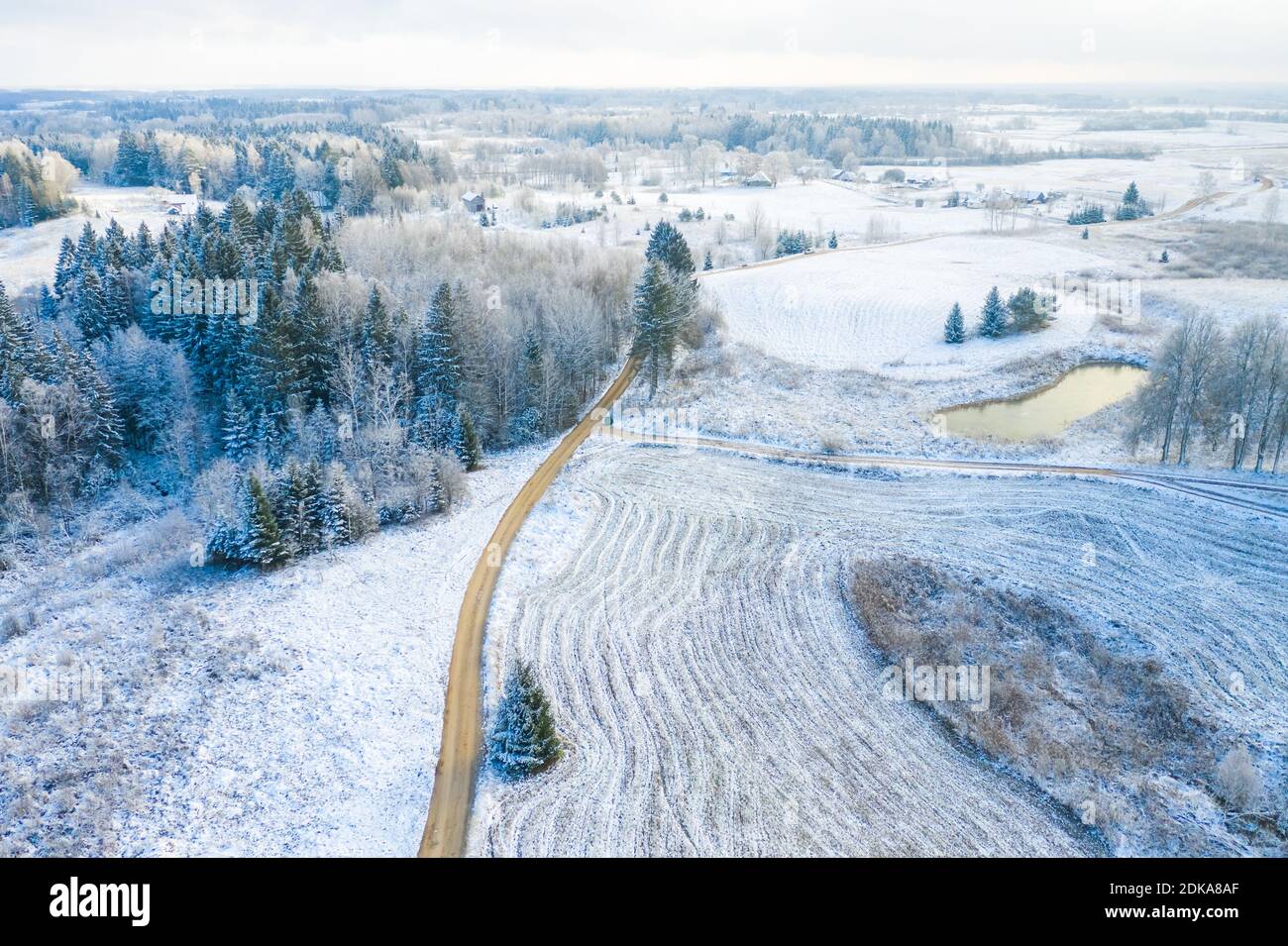 Ventosa strada invernale in foresta innevata, vista dall'alto in alto. Foto Stock