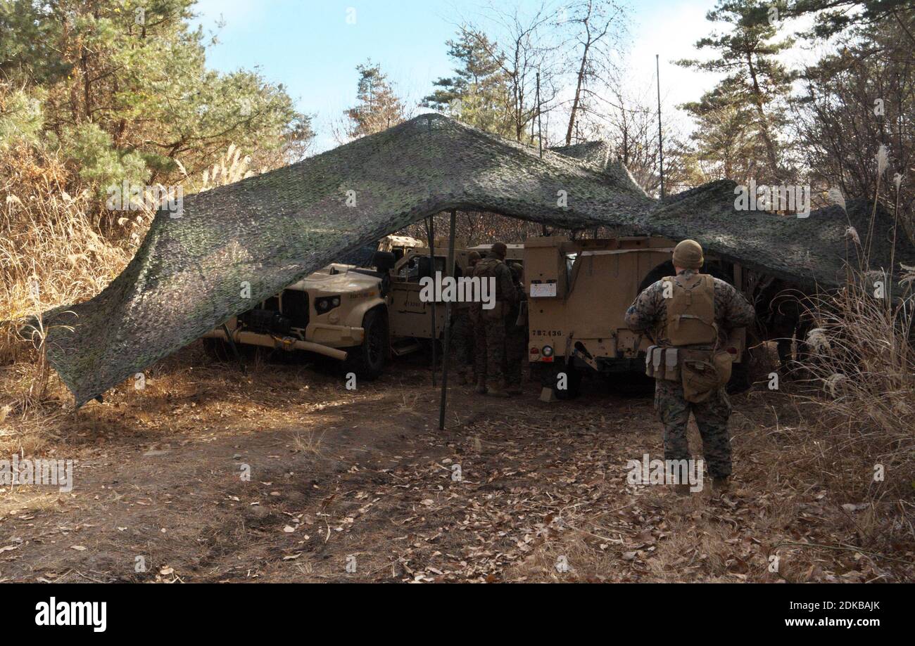 Shinto, Giappone. 15 Dic 2020. Il JLTV (Joint Light Tactical Vehicle) dei Marines degli Stati Uniti e il personale della Japan Ground Self-Defense Force prendono parte all'esercizio militare congiunto "Forest Light 21" a Camp Soumagahara nella prefettura di Gunma, Giappone, martedì 15 dicembre 2020. L'esercizio militare annuale di quest'anno si concentra sul sequestro e la difesa di terreni marittimi e isole chiave a sostegno delle operazioni navali nella difesa del Giappone. Foto di Keizo Mori/UPI Credit: UPI/Alamy Live News Foto Stock