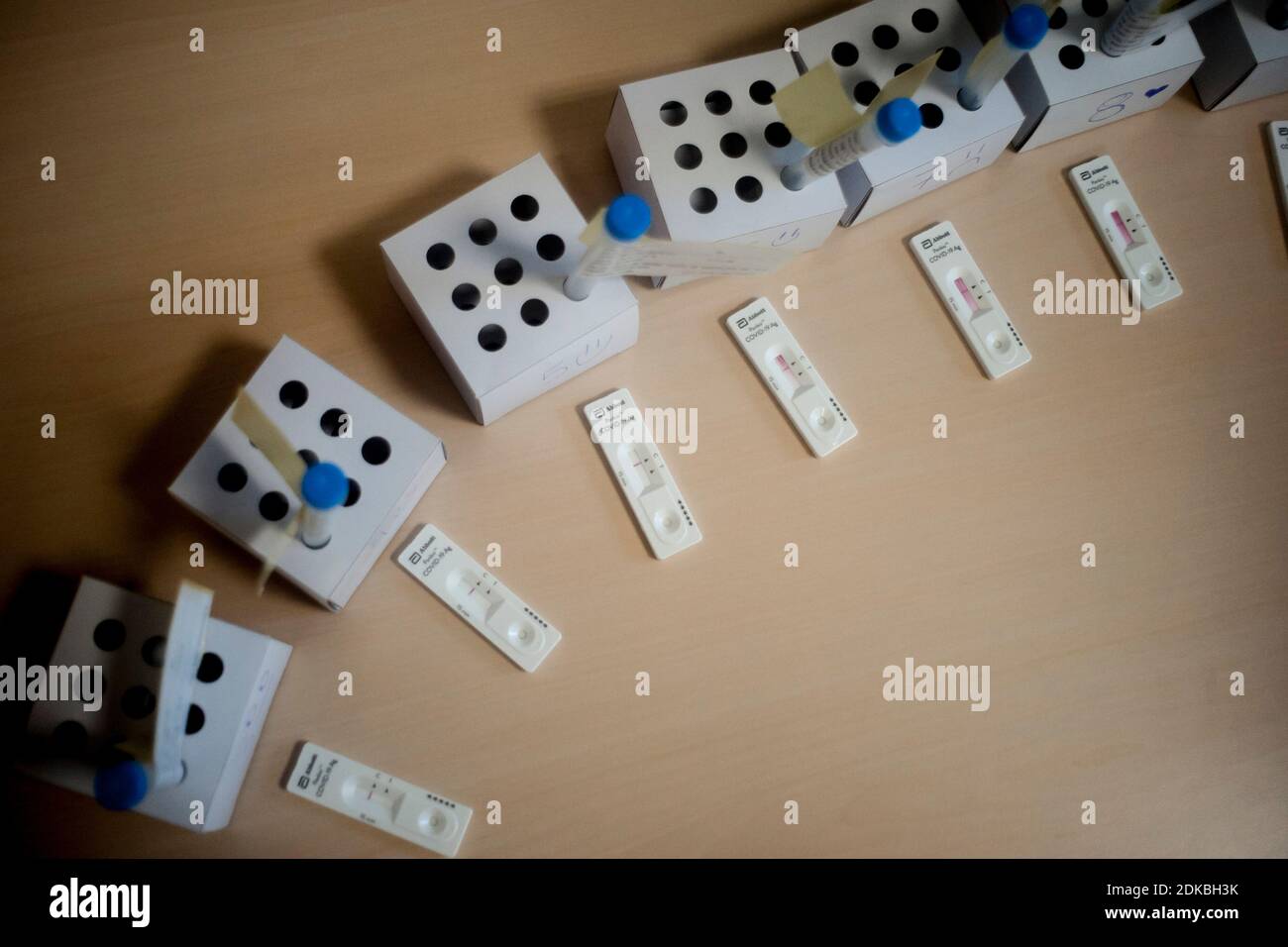 Barcellona, Spagna. 15 Dic 2020. 15 dicembre 2020, Barcellona, Catalogna, Spagna: I test Antigen Rapid per COVID-19 sono stati osservati durante uno screening di massa presso il sito di test del coronavirus nel distretto di Ciutat Vella di Barcellona, Spagna. Credit: Jordi Boixareu/Alamy Live News Foto Stock