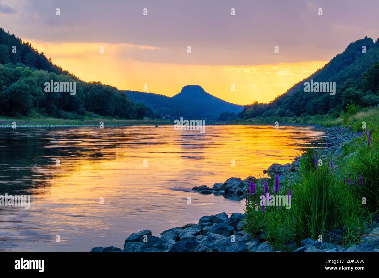 Germania, Sassonia, parco nazionale della Svizzera sassone, montagne di pietra arenaria dell'Elba, vista di Elbabwaters alla montagna da tavola Lilienstein, bassa acqua sulla rotta di navigazione, Foto Stock