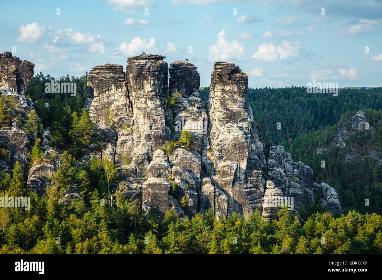 Sachsen, Sächsische Schweiz, Blick von der Basteibrücke auf die Gansfelsen Foto Stock