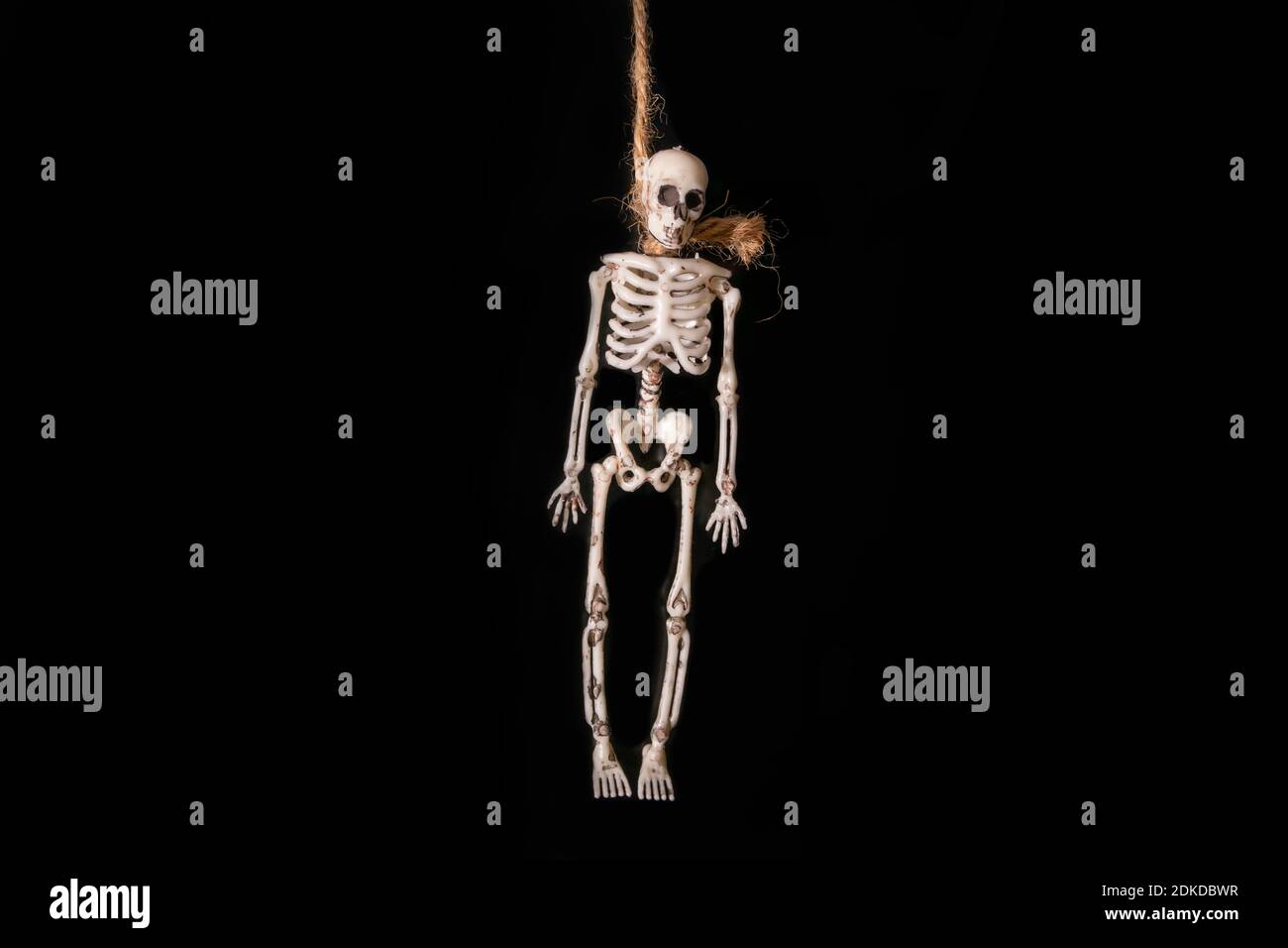 Halloween Celebration.figura di uno scheletro sospeso dal collo su uno sfondo nero. Foto Stock