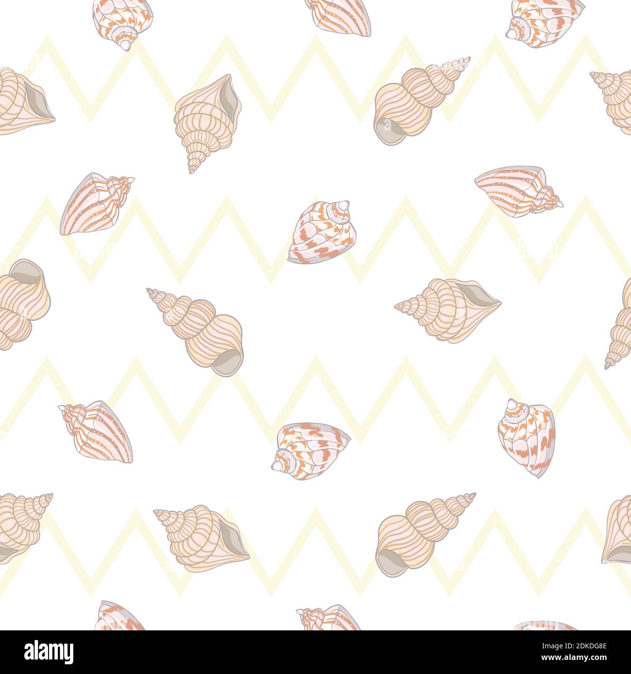 Seashell modello senza giunture. Sfondo vettore di scalpo. Illustrazione Vettoriale