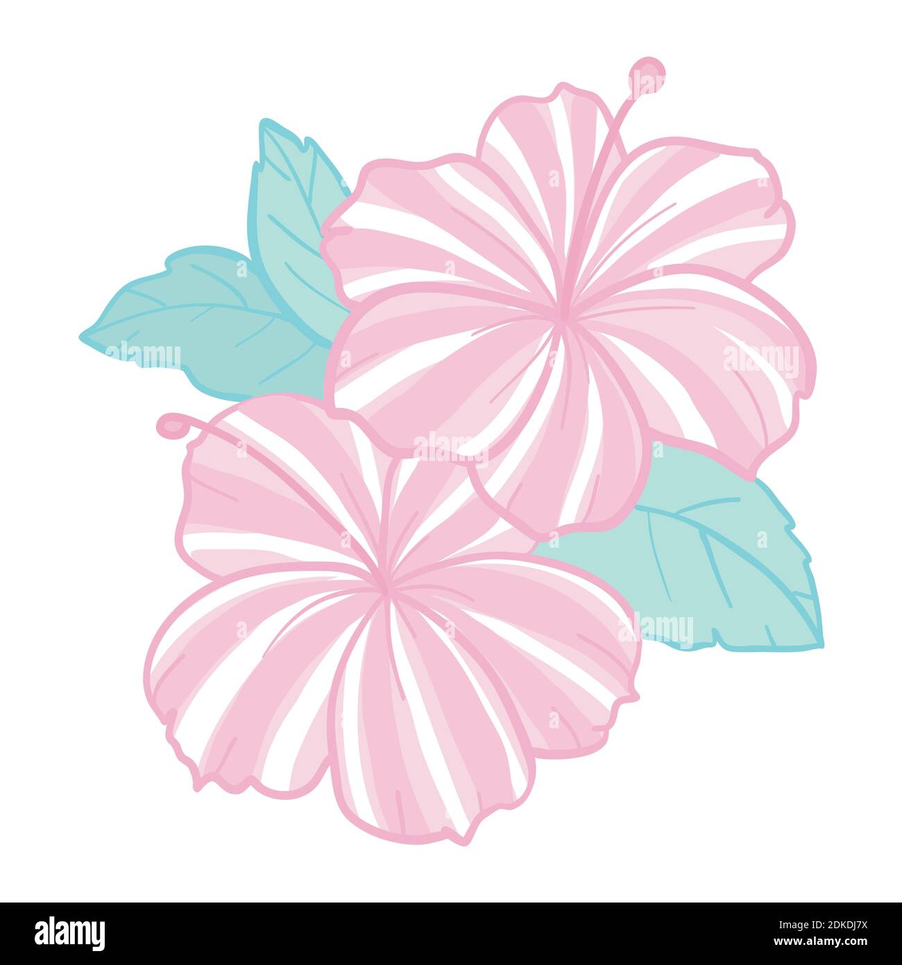 Fiori tropicali elementi. Collezione di fiori di ibisco su sfondo bianco. Pacchetto di illustrazioni vettoriali. Illustrazione Vettoriale