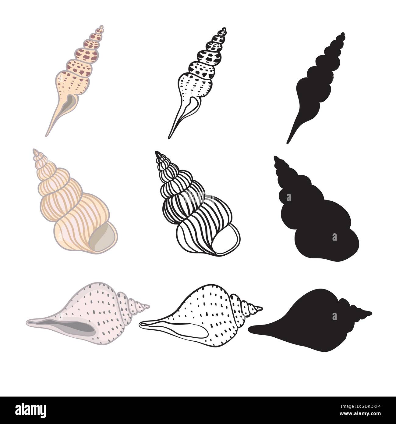 Illustrazioni vettoriali disegnate a mano - raccolta di conchiglie. Set marino. Illustrazione Vettoriale