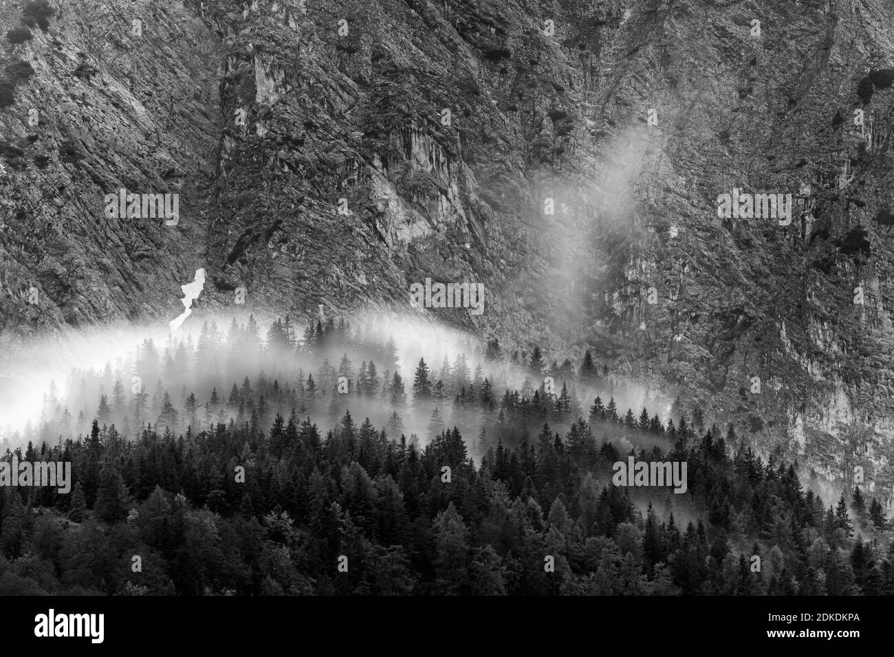 Nebbia nelle montagne di Wetterstein sopra Mittenwald. Sullo sfondo la ripida parete rocciosa del Wettersteinspitze, in primo piano foresta e atmosfera foggosa. Foto Stock