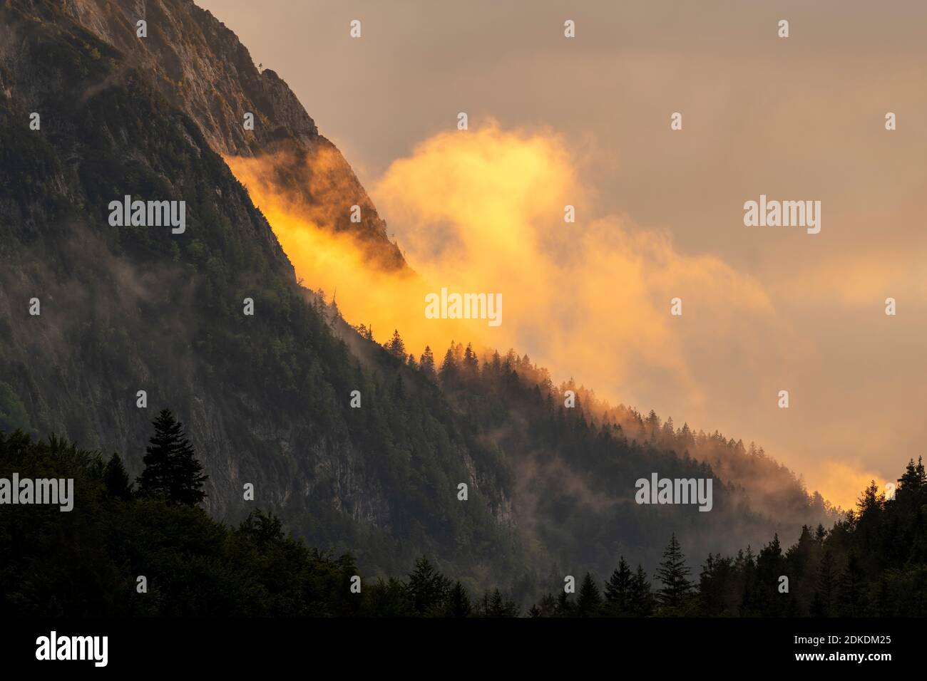 Alpenglow ai piedi del Wetterstein, sopra Mittenwald. Atmosfera di nube e roccia drammatica delle montagne, con alberi e tonalità arancio. Foto Stock