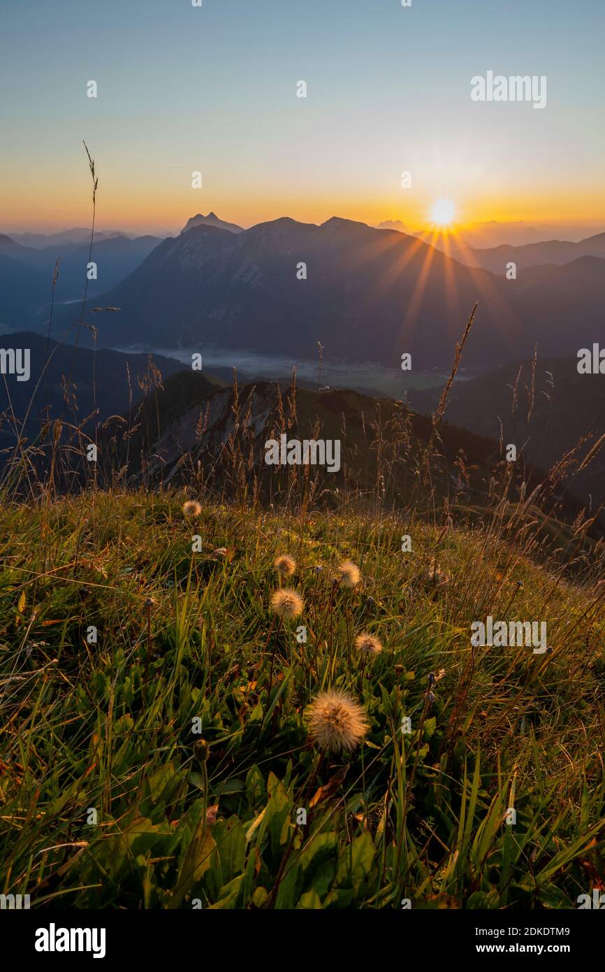 Alba sopra l'Achensee, sulla montagna Unnütz e sui monti Guffert/Rofan. Fotografato dalla Schreckenspitze con un prato di montagna in primo piano e una stella del sole Foto Stock