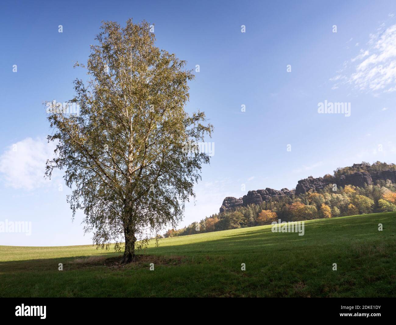 Vista su prati e campi a Pfaffenstein nell'Elba Montagne di arenaria Foto Stock