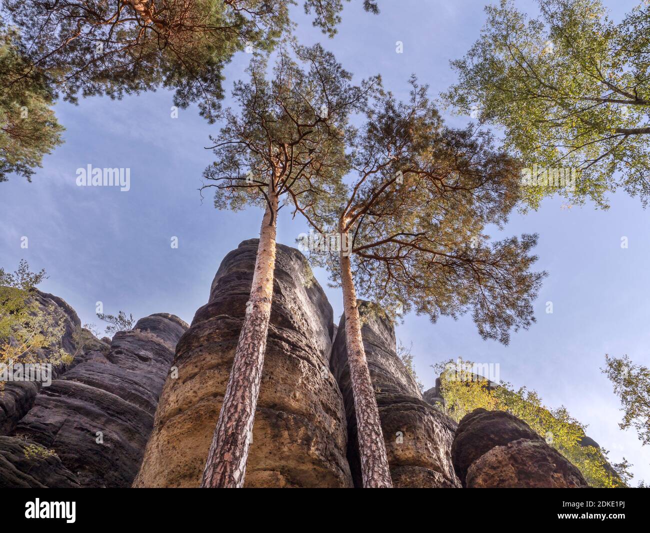 Salita al Pfaffenstein nelle montagne di arenaria dell'Elba Foto Stock