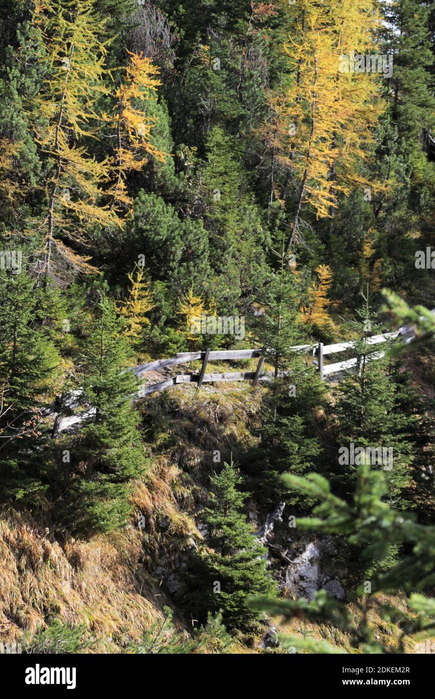 Europa, Österreich, Tirol, Leutasch, Leutasch tal, Gaistal, Ludwig Ganghofer, Spätherbst, Estate Indiana, Traumhaft, Herbst, Weg zum Steinern Hüttl (1925 metri) Foto Stock