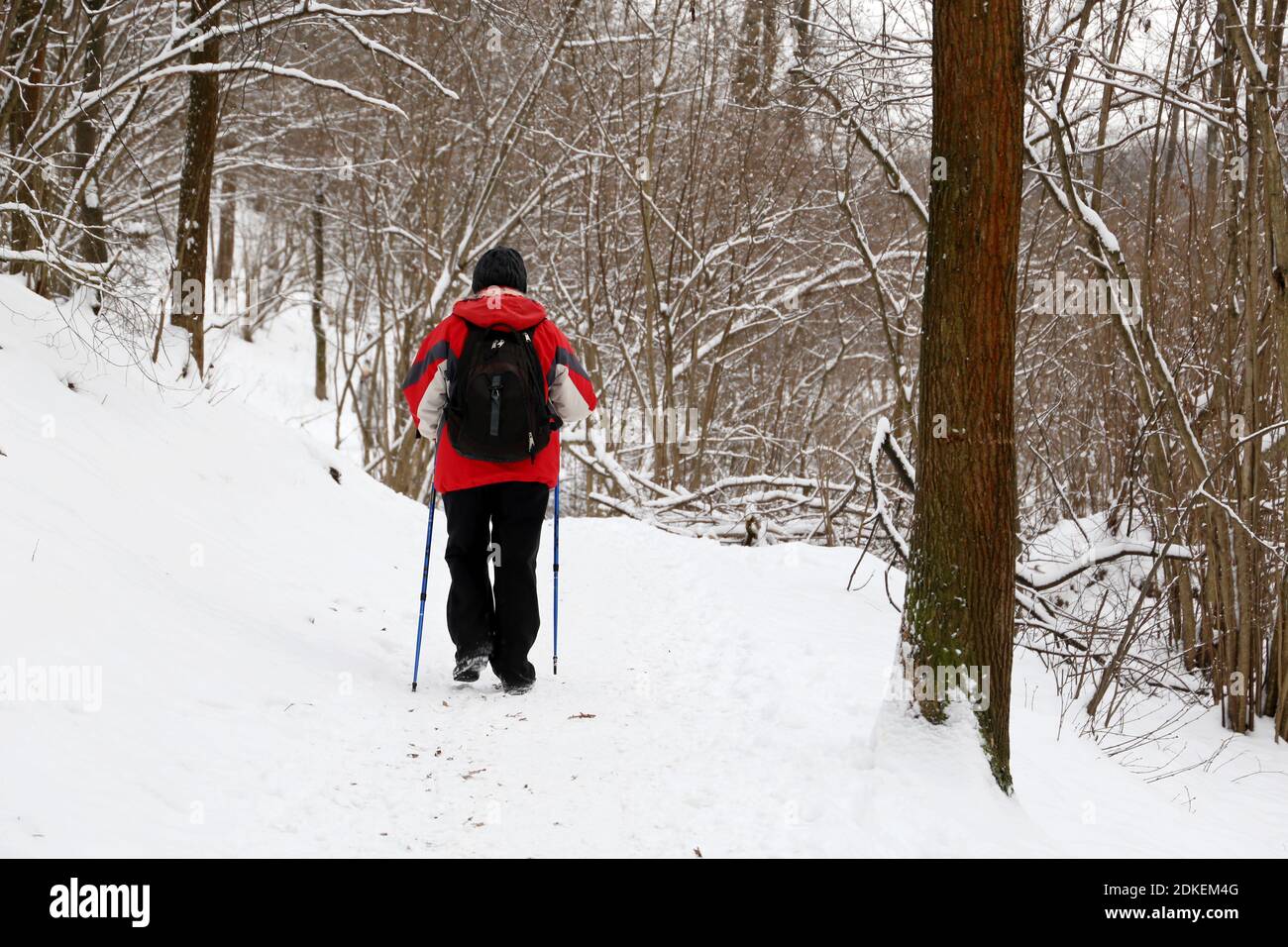 Nordic walking in inverno, uomo con zaino e bastoni nel parco durante la nevicata. Clima freddo, concetto di stile di vita sano Foto Stock