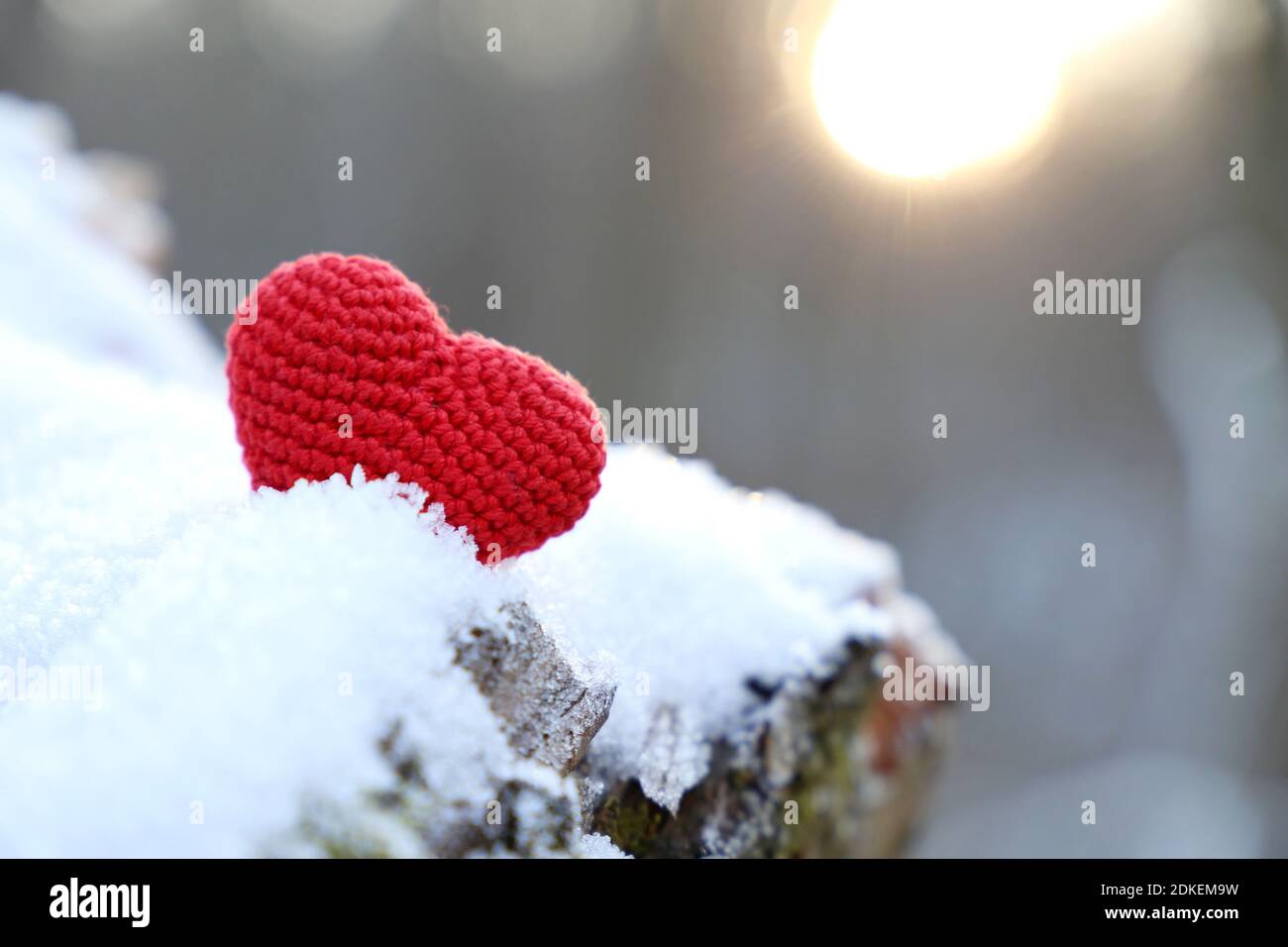 Cuore rosso lavorato a maglia su una neve nella foresta invernale sotto il sole. Sfondo per le vacanze di Natale, carta di San Valentino Foto Stock