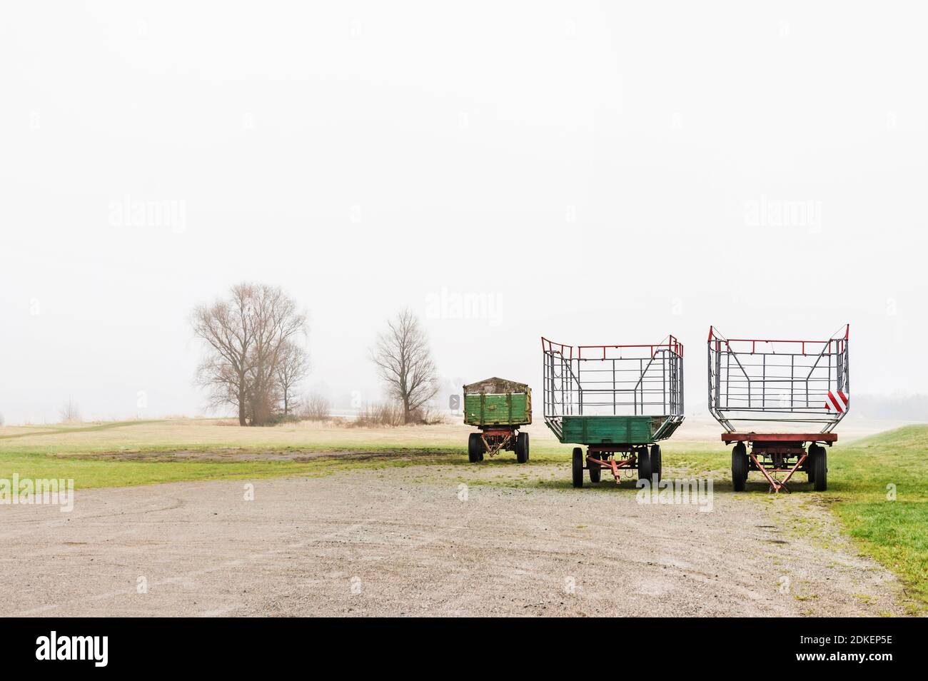 Riverside paesaggio, Elbe Valley, Germania, Germania del Nord, bassa Sassonia, Elba, banche a Artlenburg, mood malinconia, umore invernale, nebbia, carri agricoli di raccolta si trovano in posizione di ibernazione Foto Stock