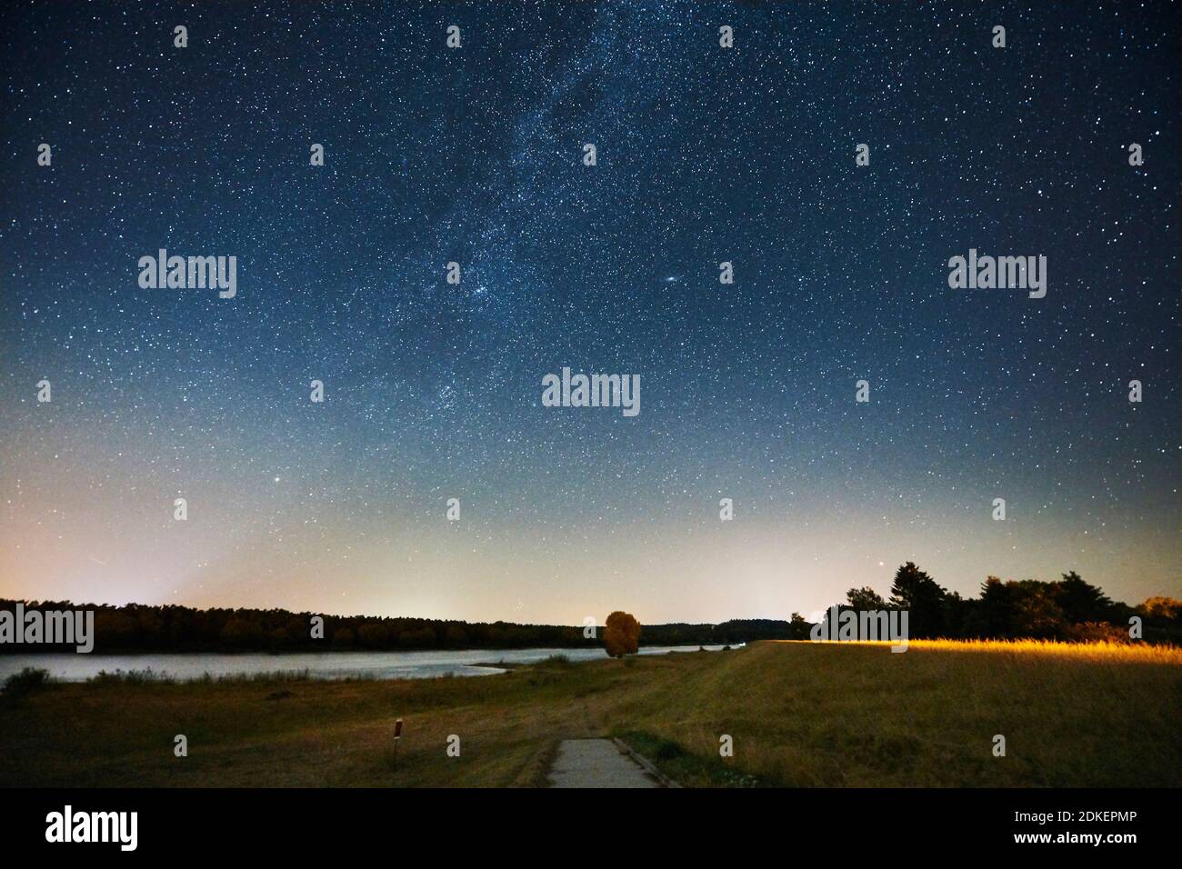 Colpo di notte, volte celesti, cielo stellato al tempo dei Perseidi, Germania, Germania del Nord, bassa Sassonia, Valle dell'Elba, rive dell'Elba vicino a Barförde, a monte Foto Stock