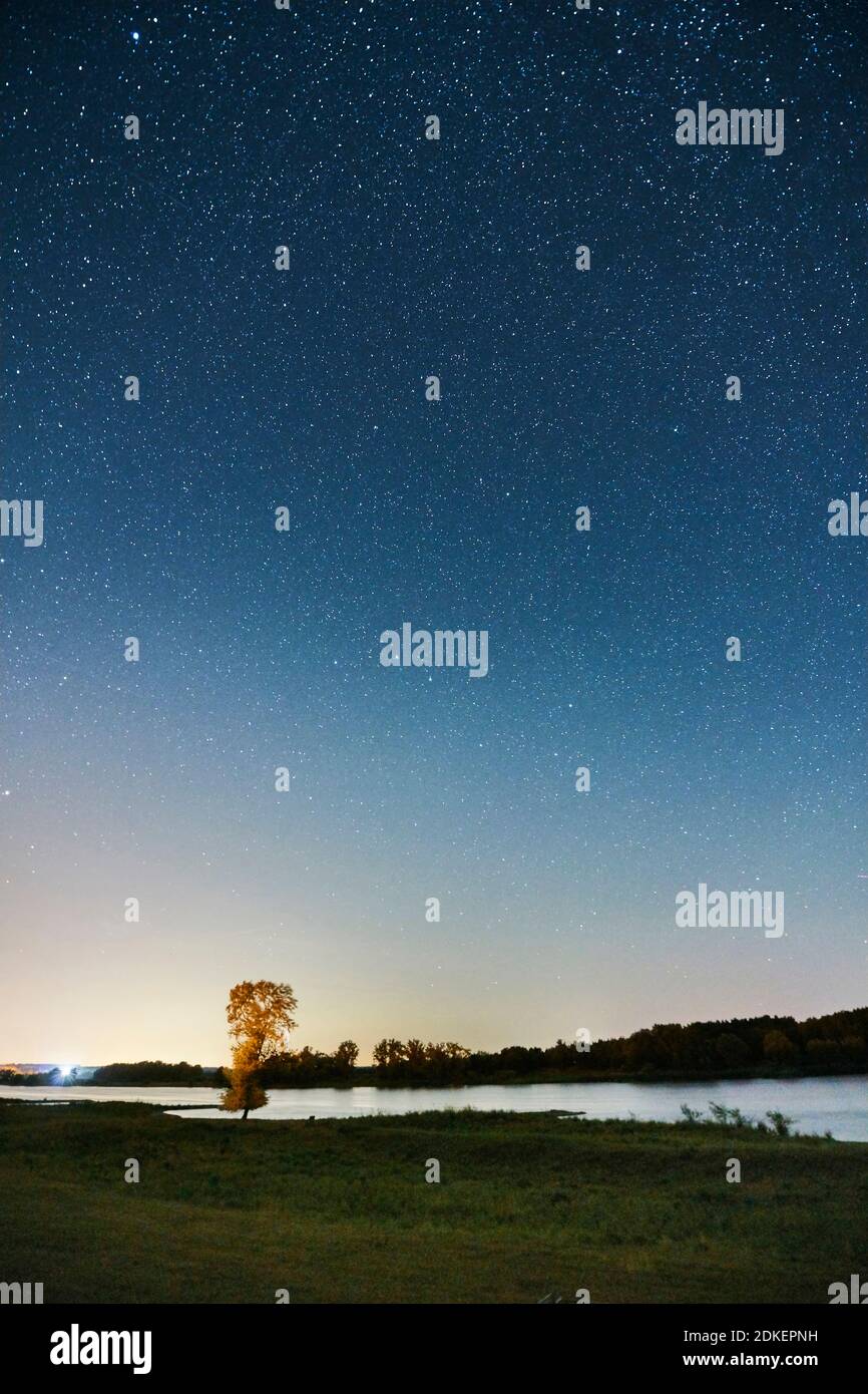 Colpo di notte, volte celesti, cielo stellato all'epoca dei Perseidi, Germania, Germania settentrionale, bassa Sassonia, valle dell'Elba, banca dell'Elba a Barförde, a valle, Foto Stock