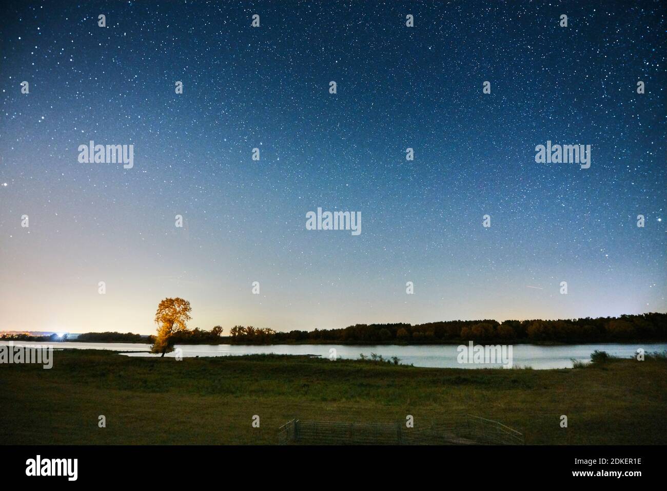 Colpo di notte, volte celesti, cielo stellato al tempo dei Perseidi, Germania, Germania del Nord, bassa Sassonia, Valle dell'Elba, rive dell'Elba vicino a Barförde, a valle verso Lauenburg Foto Stock