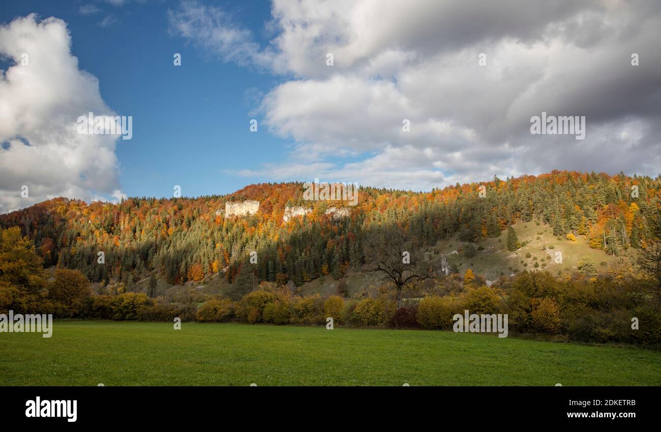 Autunno, Estate indiana, Alb sveva Foto Stock