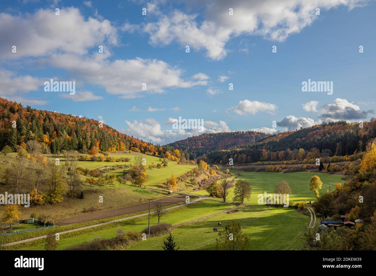 Autunno, Estate indiana, Alb sveva Foto Stock