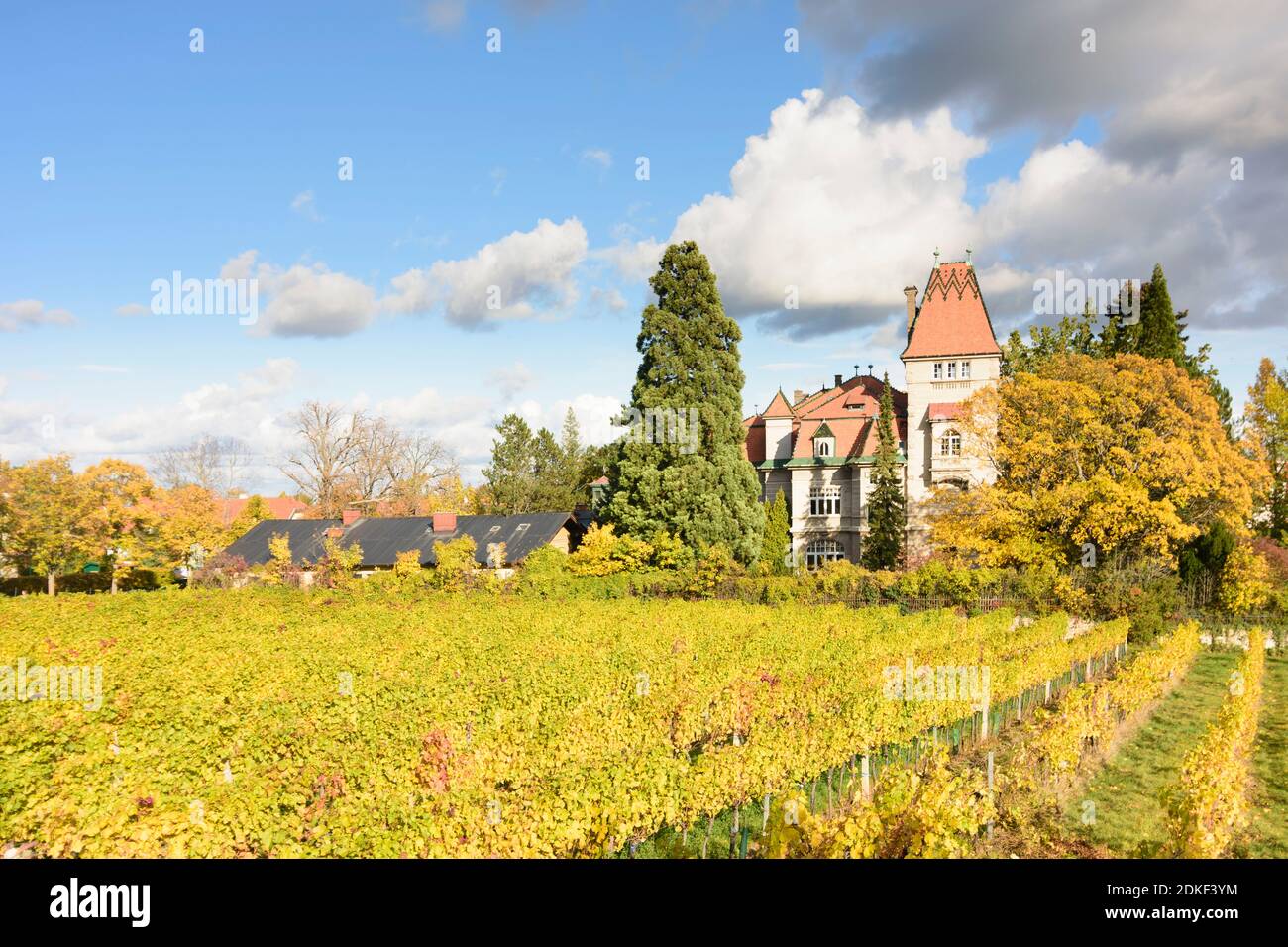 Bad Vöslau, vigneto, villa, Wienerwald (Bosco di Vienna), Niederösterreich / bassa Austria, Austria Foto Stock