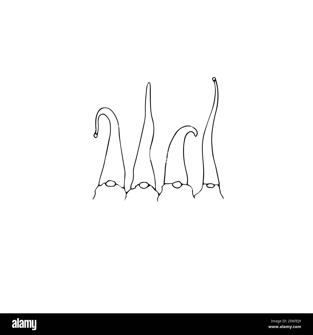 Gnomi scandinavi isolati su bianco. Illustrazione vettoriale disegnata a mano Illustrazione Vettoriale