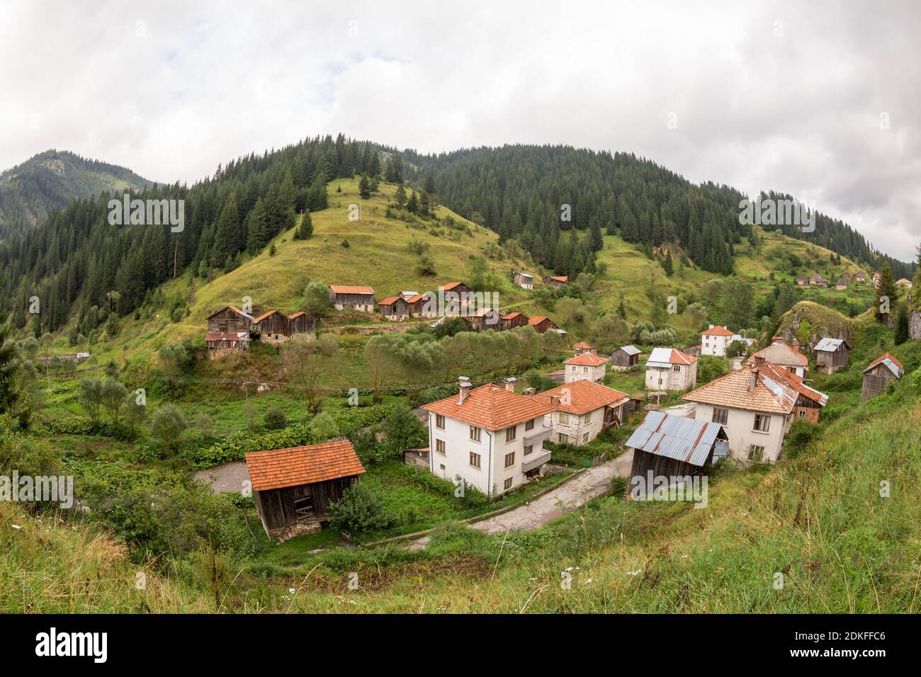 Case e annessi (capannoni) nel villaggio di Mugla in conifere foresta sulle pendici ripide dei Monti Rhodope in Maltempo nuvoloso (Rhodop Foto Stock