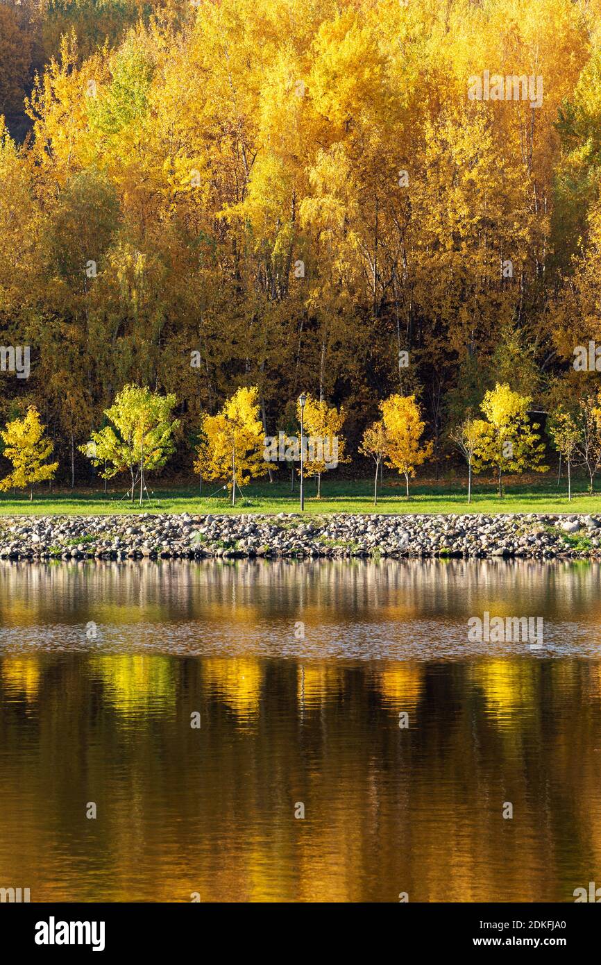 Autunno colorato. Vicolo lungo la riva del fiume sullo sfondo del parco autunnale. Riflessioni nell'acqua della foresta Foto Stock