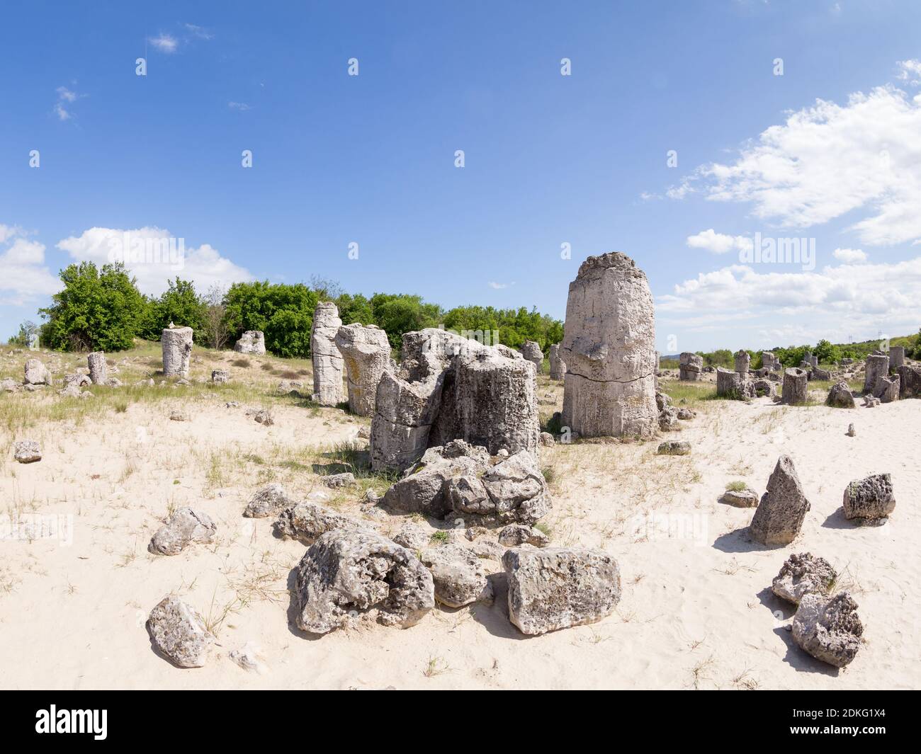 Pobiti Kamani (Pietre permanente, la Foresta di Pietra) naturale unico fenomeno Rock, Varna, Bulgaria Foto Stock