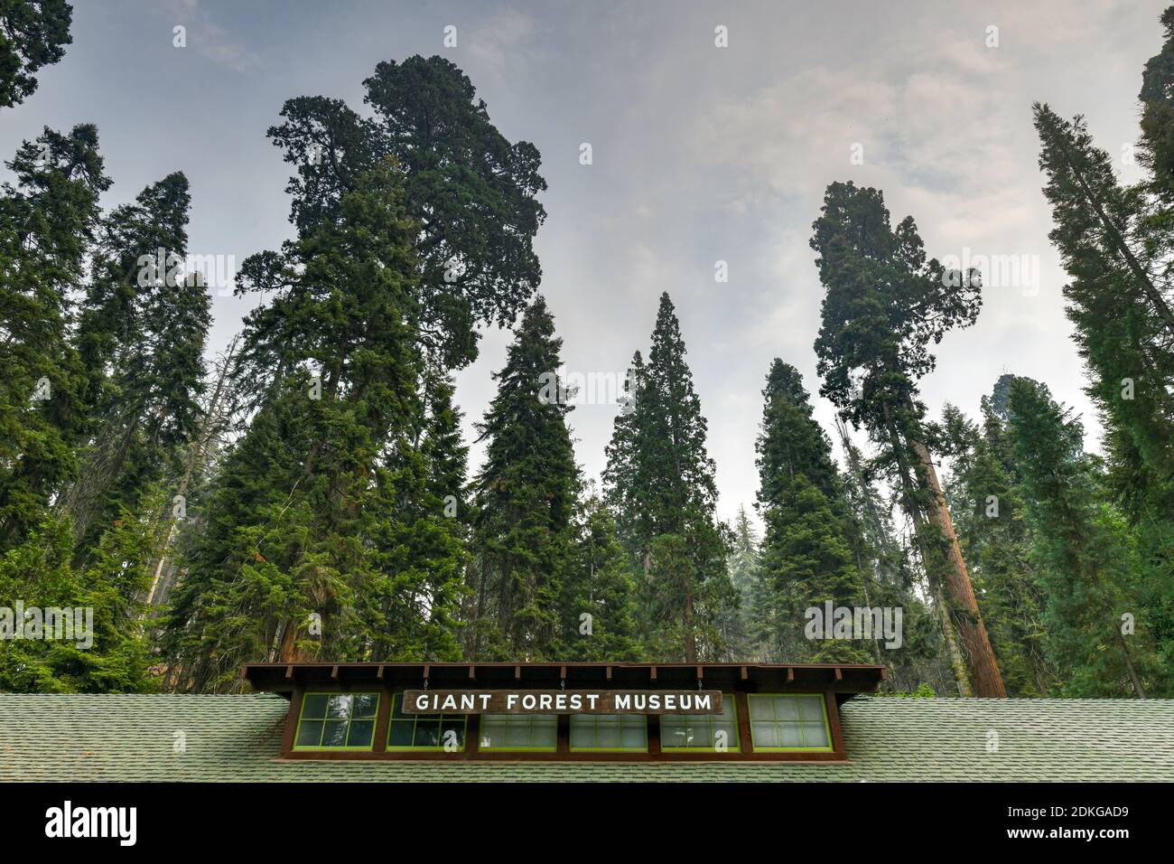 Il Giant Forest Museum nel Sequoia National Park, California, USA Foto Stock