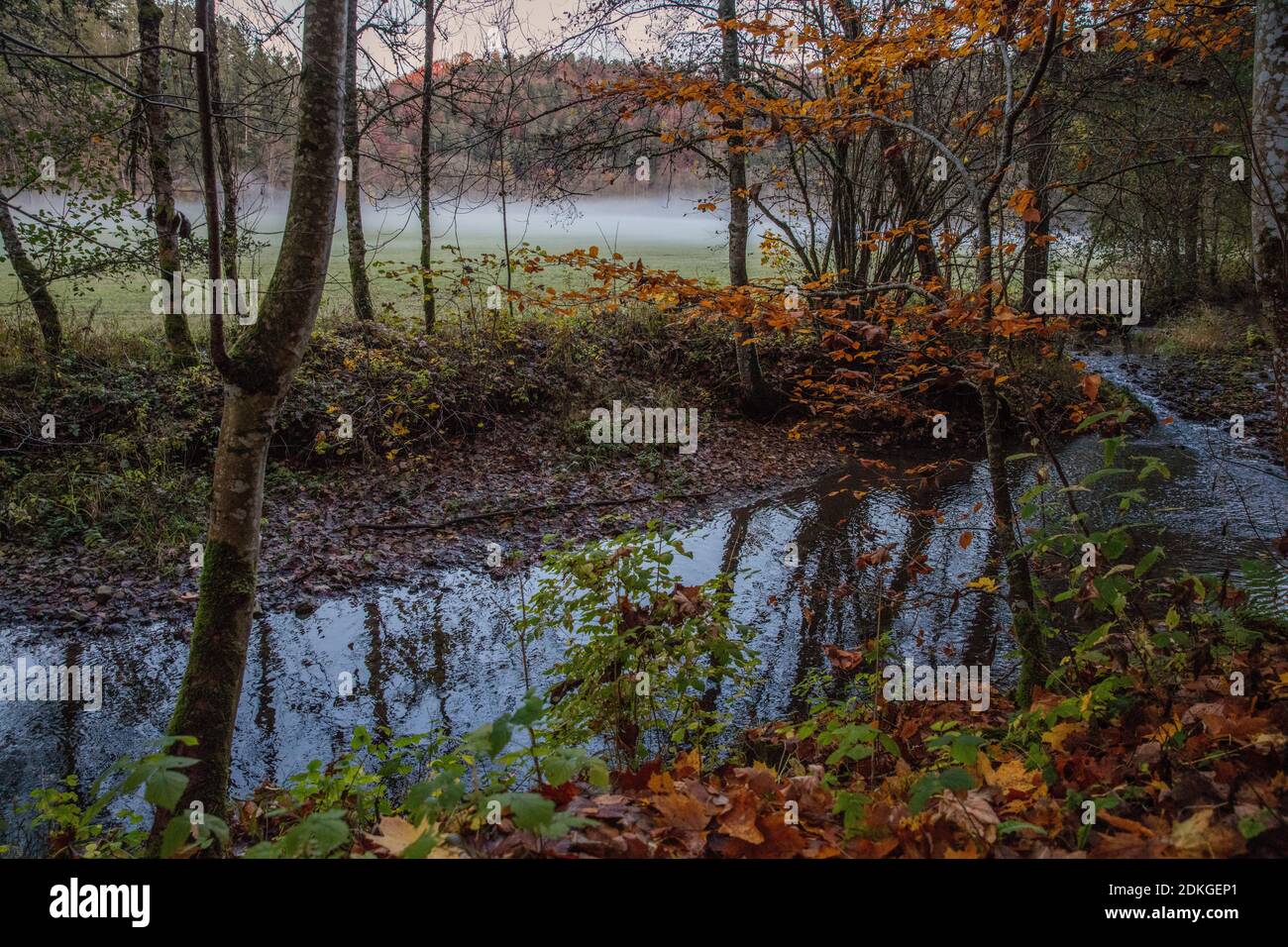 Schlichenklamm im Herbst, Bodennebel, schwäbische Alb Foto Stock