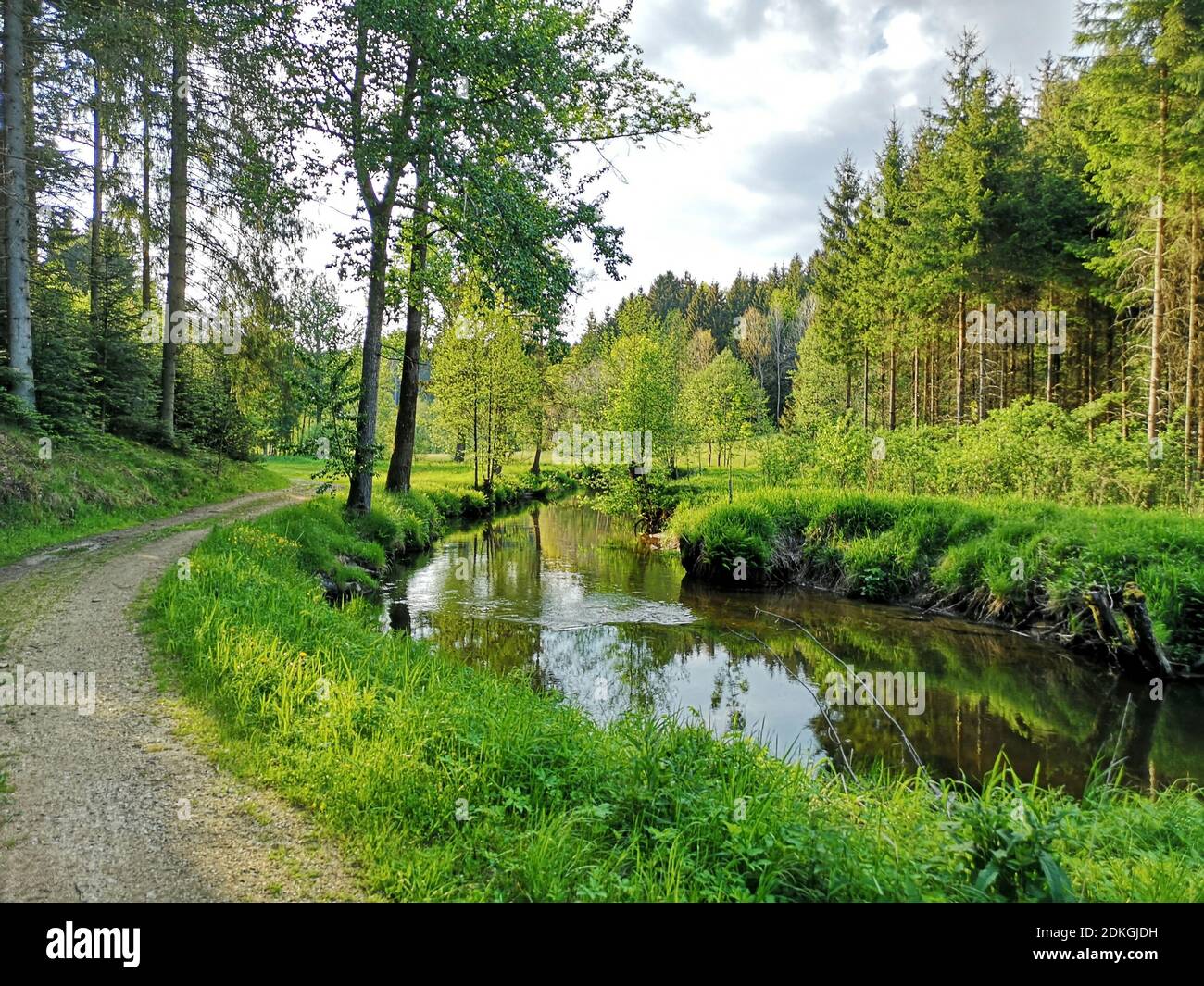 Primavera presso il mulino di pietra di Haslach an der Mühl Nel Mühlviertel Foto Stock