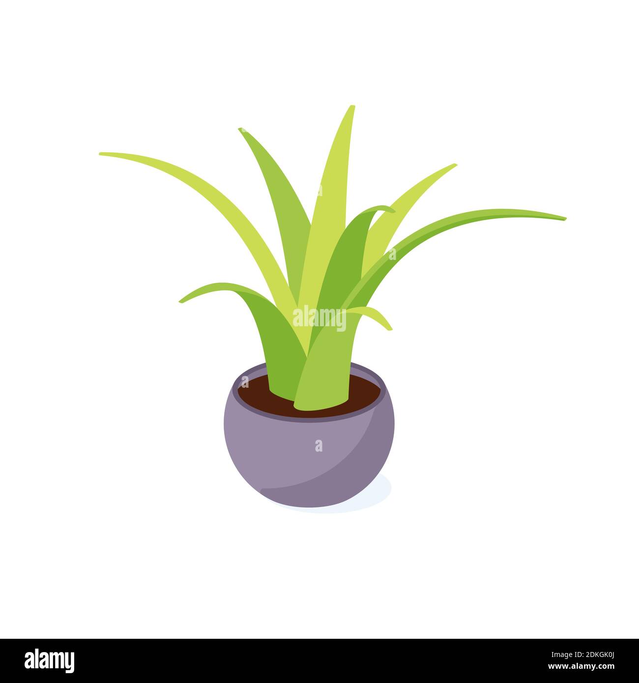 Cactus verde in pentola isometrica - pianta domestica in vaso per decorazione d'interni. Illustrazione Vettoriale
