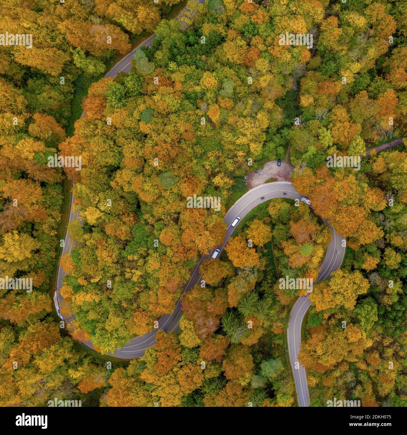 Autunno dall'alto con un droneshot di una doppia curva in una foresta colorata e automobili alla guida, bella caduta, positivo emotivo natura foto Foto Stock