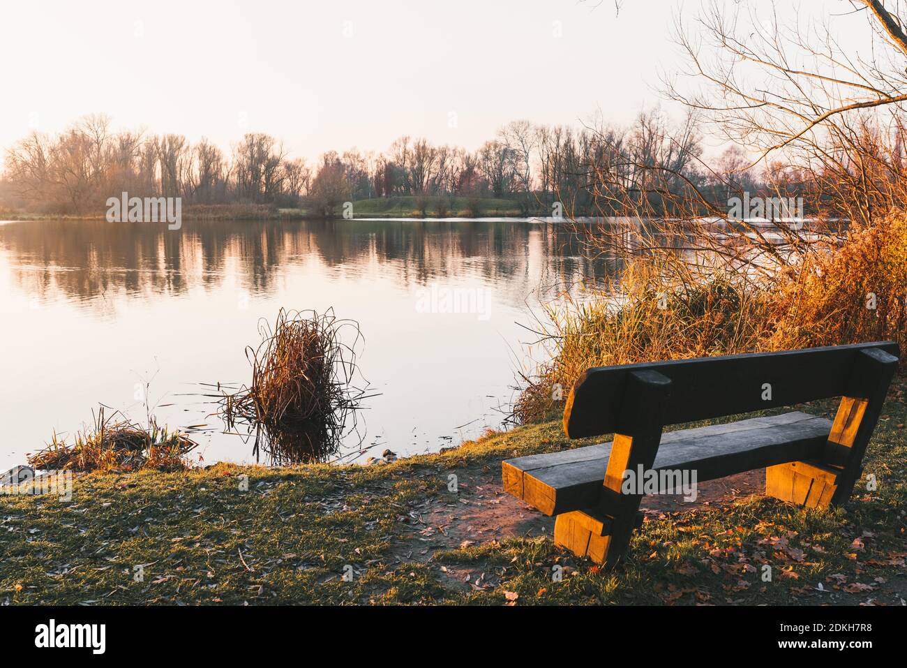 Panca parco vicino al lago tranquillo al sole del pomeriggio. Foto Stock