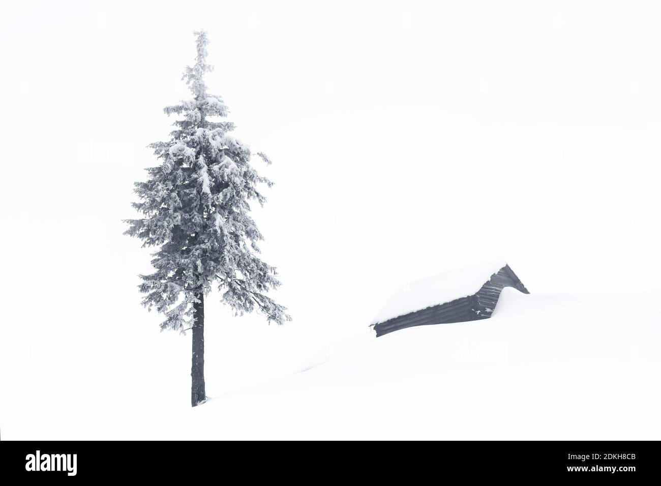 Paesaggio invernale minimalista. Vecchia capanna di legno sul prato coperto di neve. Pino nelle nevi. Sfondo nevoso. Posizione posizionare il Carpath Foto Stock