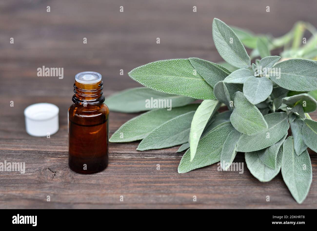 Salvia officinalis erbe e salvia olio essenziale in una bottiglia su un tavolo di legno. Foto Stock