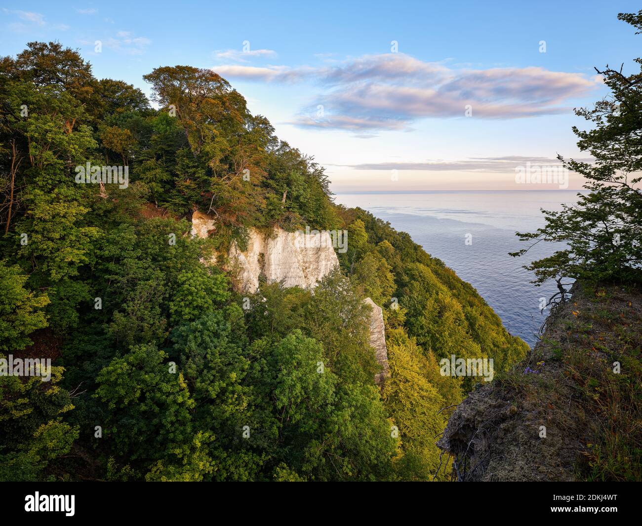 Gesso, costa di gesso, acqua, foresta, nuvole, cielo, alba, Mar Baltico, parco nazionale, luogo di interesse, patrimonio mondiale dell'UNESCO Foto Stock