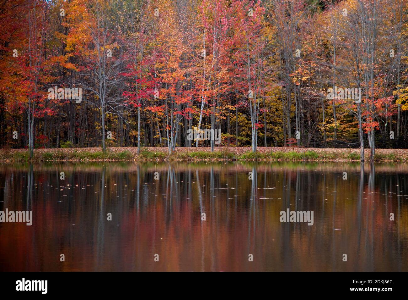 Colori autunnali riflessi su un lago del New England, Maine, Stati Uniti Foto Stock