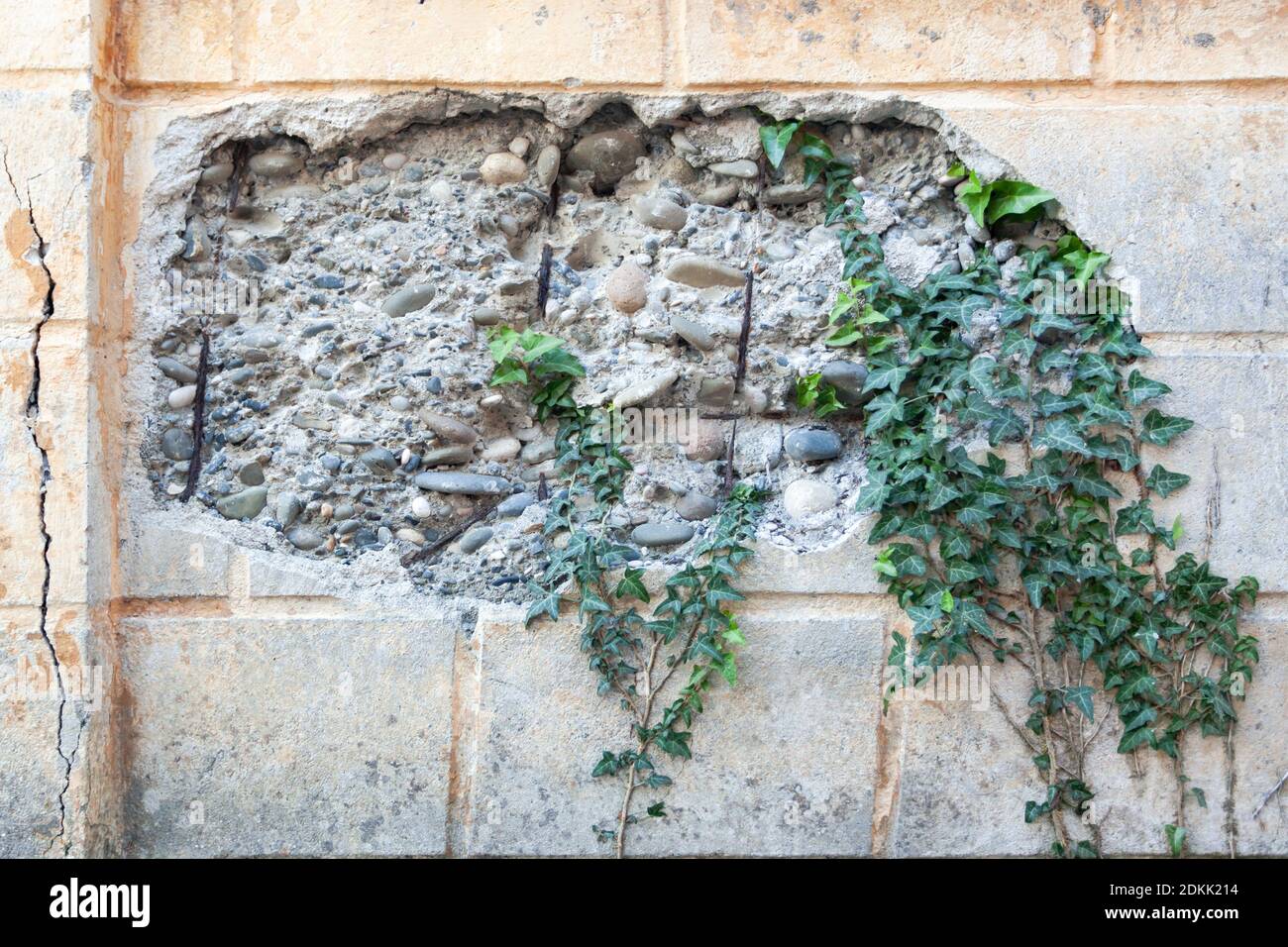 distrutta parte del muro con piante verdi Foto Stock