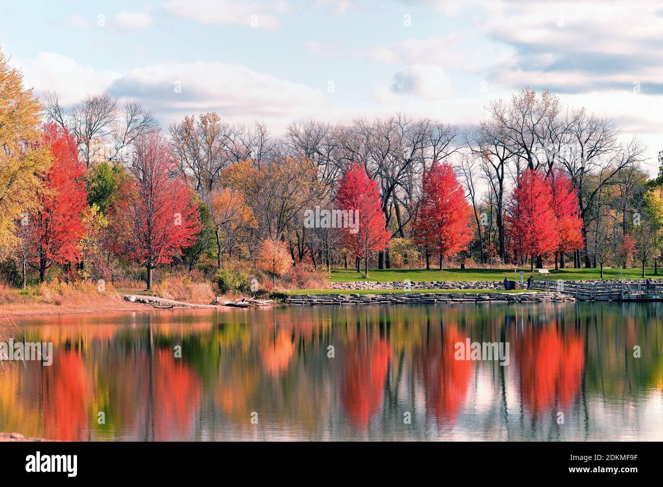 Wayne, Illinois, Stati Uniti. Gli alberi le cui foglie hanno trasformato l'arancio bruciato di un autunno si riflettono nelle acque ferme di un lago nel nord-est dell'Illinois. Foto Stock