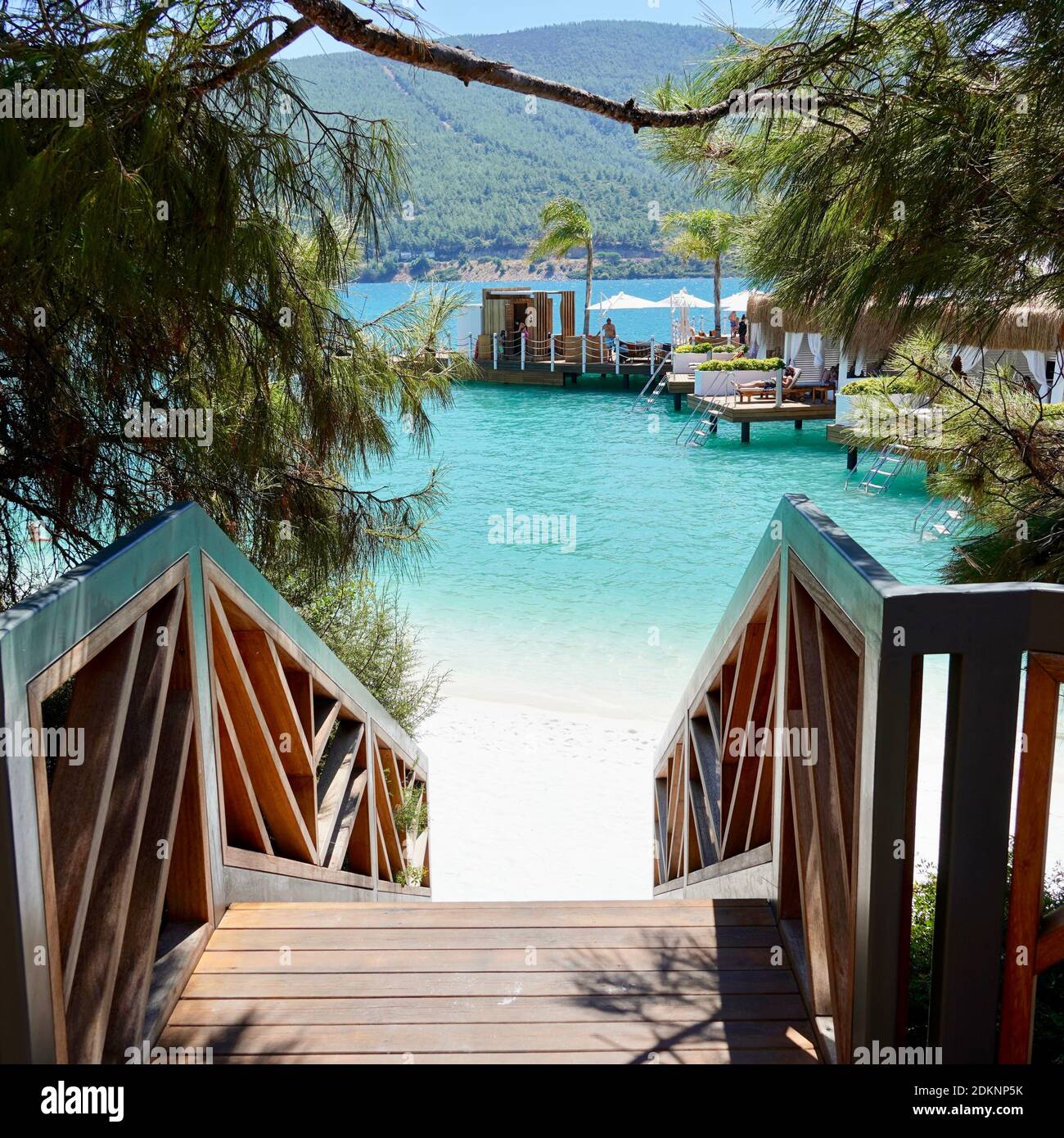 Formato quadrato la strada per il paradiso scende al cristallo Oceano smeraldo chiaro circondato da alberi tropicali e sabbia bianca neve.Copy spazio di Foto Stock