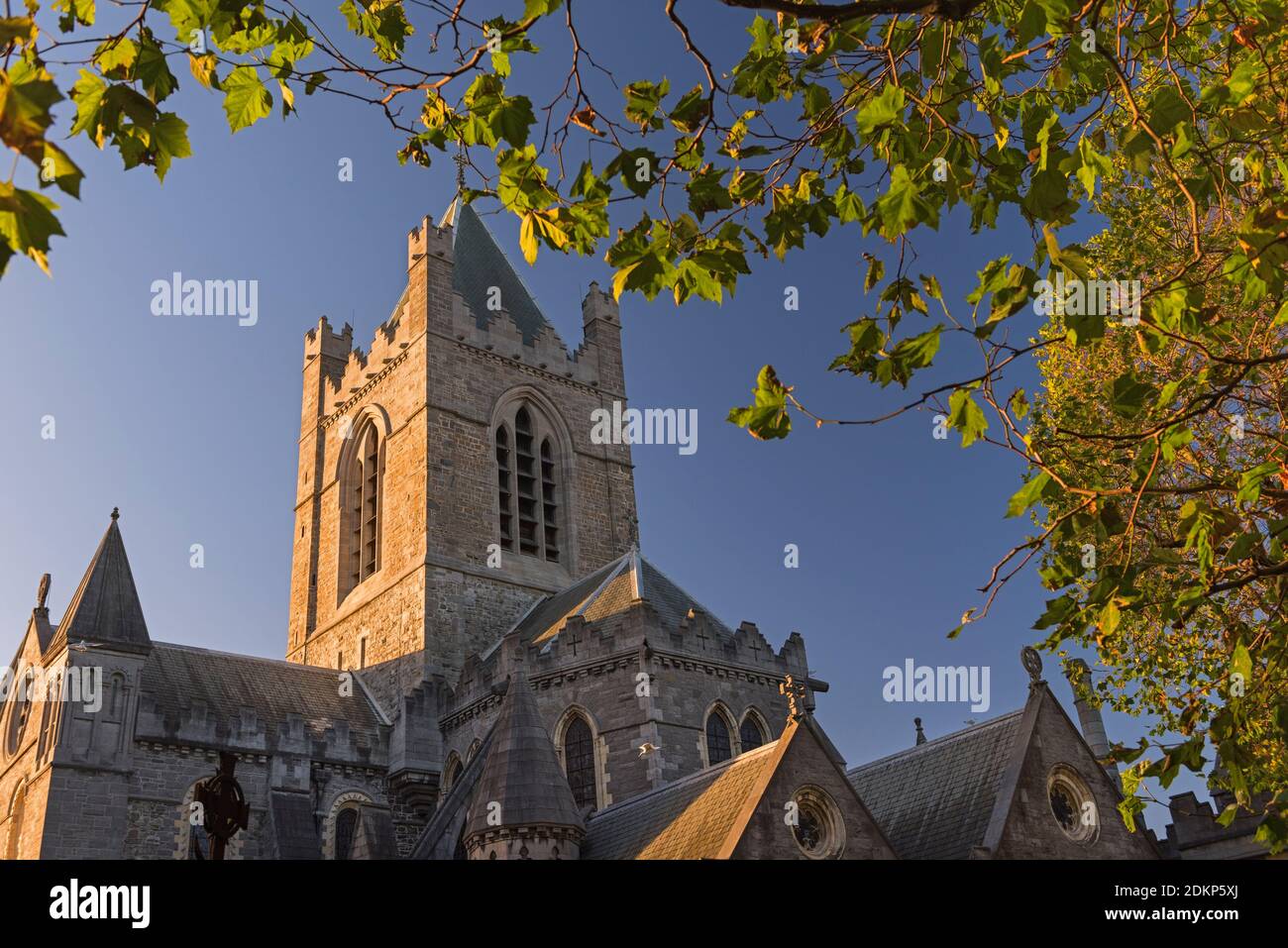 La cattedrale di Christ Church Dublino Irlanda Foto Stock